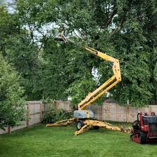 Best Weed Control  in Rossmoor, NJ
