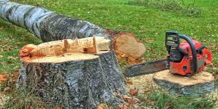 Best Commercial Tree Services  in Rossmoor, NJ