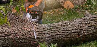 Best Artificial Turf Installation  in Rossmoor, NJ
