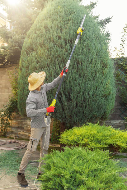 Best Aeration Services  in Rossmoor, NJ